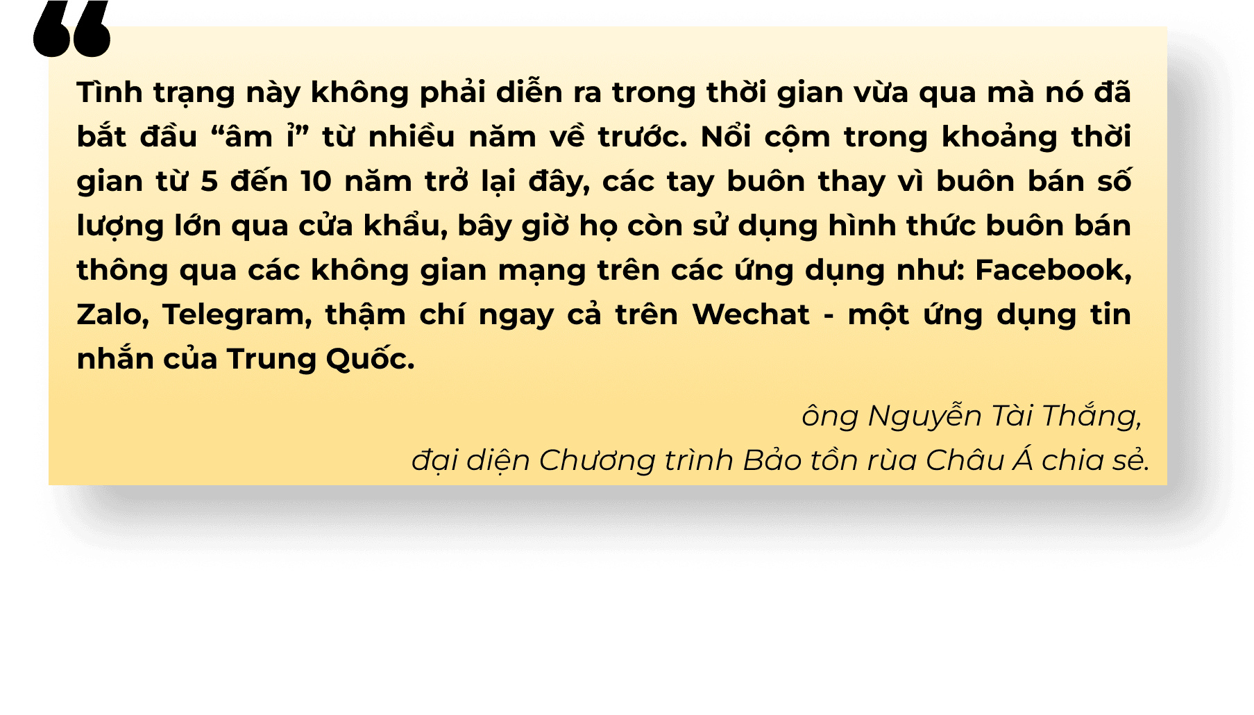 Nhức nhối vấn nạn mua bán rùa từ 